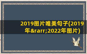 2019图片唯美句子(2019年→2022年图片)