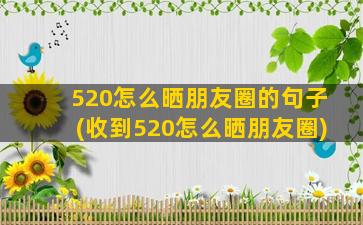 520怎么晒朋友圈的句子(收到520怎么晒朋友圈)