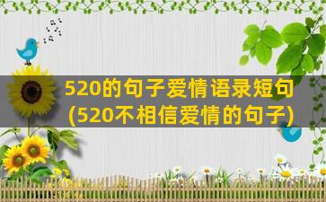 520的句子爱情语录短句(520不相信爱情的句子)