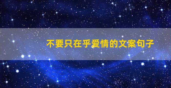 不要只在乎爱情的文案句子