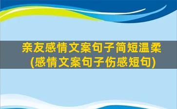 亲友感情文案句子简短温柔(感情文案句子伤感短句)