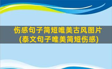 伤感句子简短唯美古风图片(泰文句子唯美简短伤感)