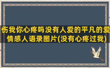 伤我你心疼吗没有人爱的平凡的爱情感人语录图片(没有心疼过我)