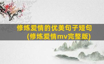 修炼爱情的优美句子短句(修炼爱情mv完整版)