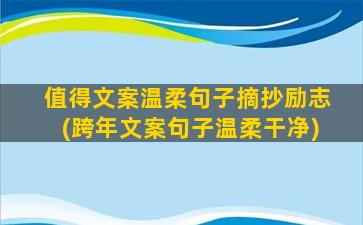 值得文案温柔句子摘抄励志(跨年文案句子温柔干净)