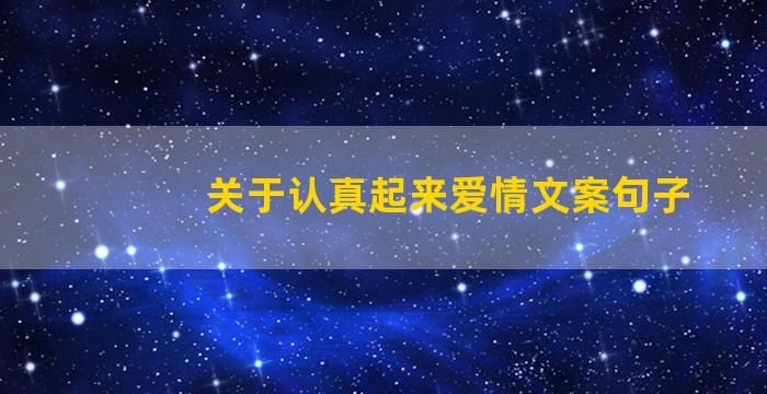 关于认真起来爱情文案句子