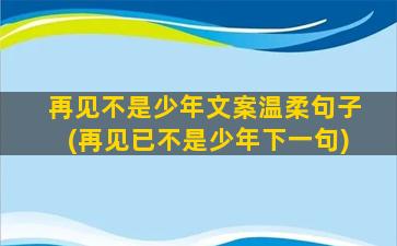 再见不是少年文案温柔句子(再见已不是少年下一句)