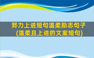 努力上进短句温柔励志句子(温柔且上进的文案短句)