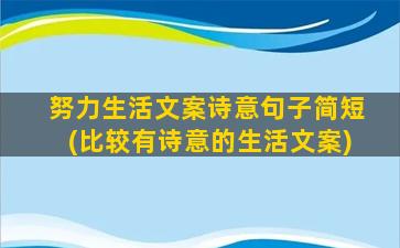 努力生活文案诗意句子简短(比较有诗意的生活文案)