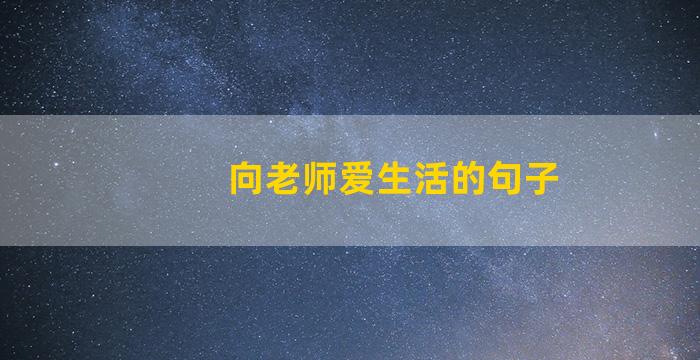 向老师爱生活的句子