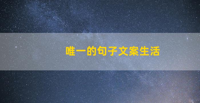 唯一的句子文案生活