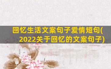 回忆生活文案句子爱情短句(2022关于回忆的文案句子)