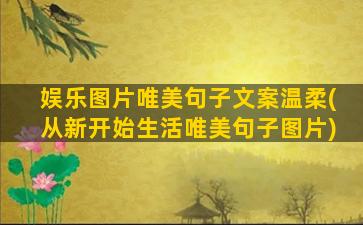 娱乐图片唯美句子文案温柔(从新开始生活唯美句子图片)