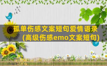 孤单伤感文案短句爱情语录(高级伤感emo文案短句)