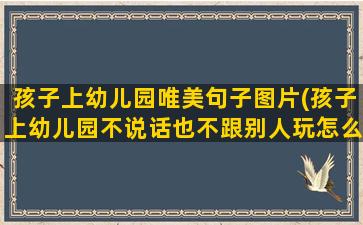 孩子上幼儿园唯美句子图片(孩子上幼儿园不说话也不跟别人玩怎么办)