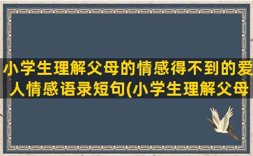 小学生理解父母的情感得不到的爱人情感语录短句(小学生理解父母的电影)