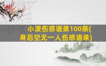 小波伤感语录100条(身后空无一人伤感语录)