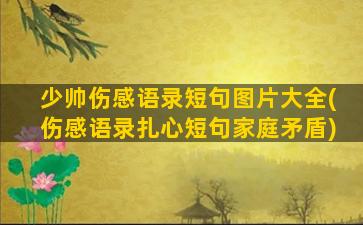 少帅伤感语录短句图片大全(伤感语录扎心短句家庭矛盾)