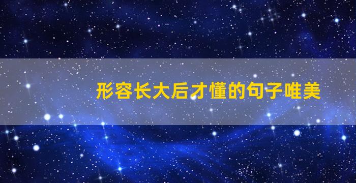 形容长大后才懂的句子唯美