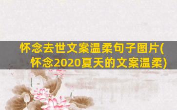 怀念去世文案温柔句子图片(怀念2020夏天的文案温柔)