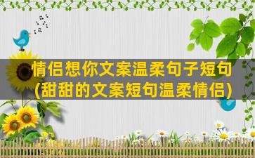 情侣想你文案温柔句子短句(甜甜的文案短句温柔情侣)