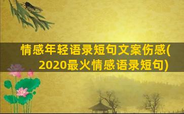 情感年轻语录短句文案伤感(2020最火情感语录短句)