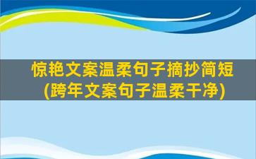 惊艳文案温柔句子摘抄简短(跨年文案句子温柔干净)