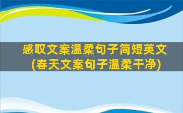 感叹文案温柔句子简短英文(春天文案句子温柔干净)