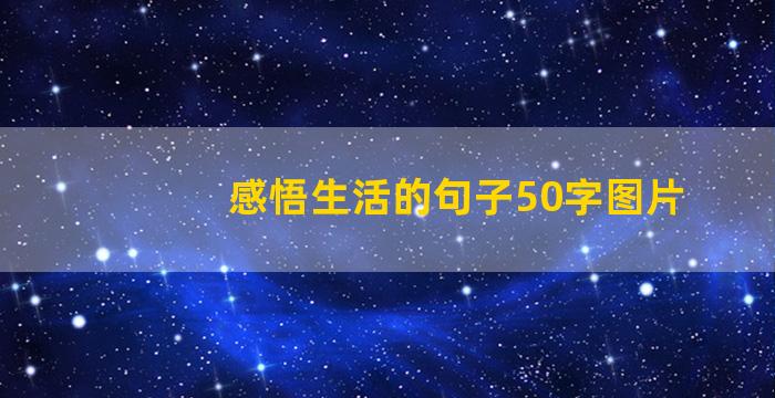 感悟生活的句子50字图片