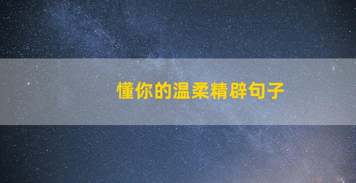 懂你的温柔精辟句子