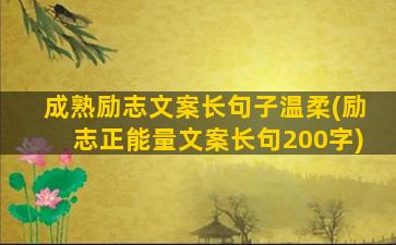 成熟励志文案长句子温柔(励志正能量文案长句200字)