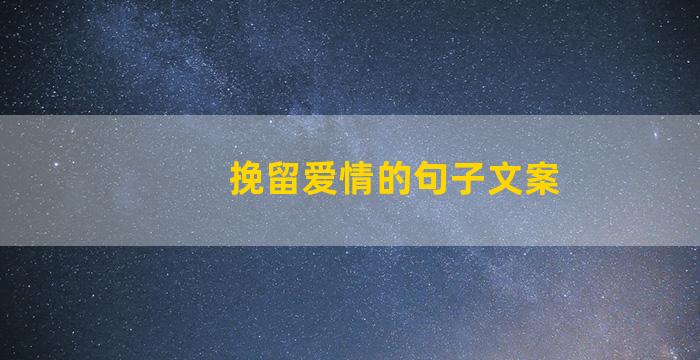 挽留爱情的句子文案