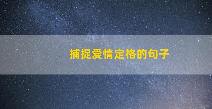 捕捉爱情定格的句子