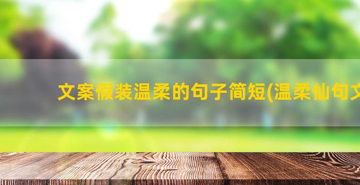 文案假装温柔的句子简短(温柔仙句文案)