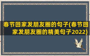 春节回家发朋友圈的句子(春节回家发朋友圈的精美句子2022)