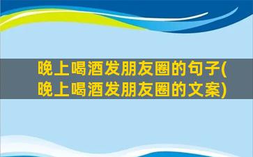 晚上喝酒发朋友圈的句子(晚上喝酒发朋友圈的文案)