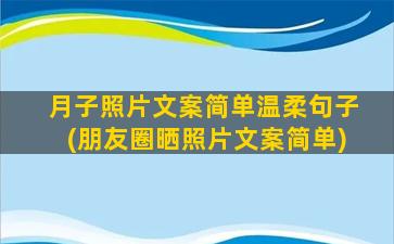 月子照片文案简单温柔句子(朋友圈晒照片文案简单)