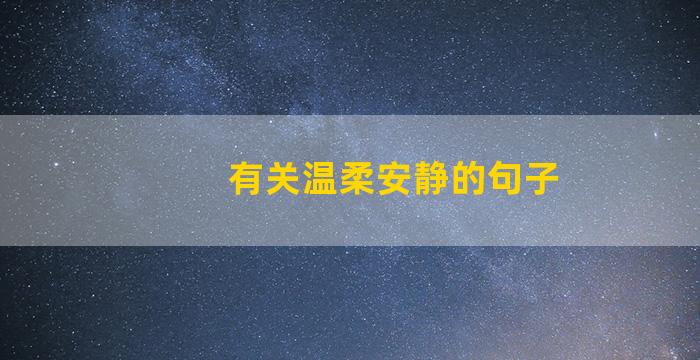 有关温柔安静的句子