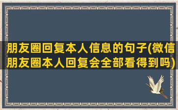 朋友圈回复本人信息的句子(微信朋友圈本人回复会全部看得到吗)