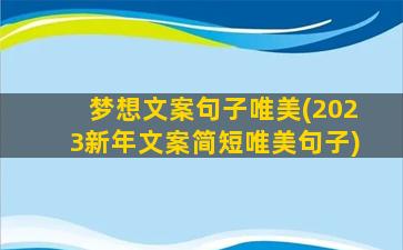 梦想文案句子唯美(2023新年文案简短唯美句子)