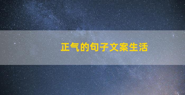 正气的句子文案生活