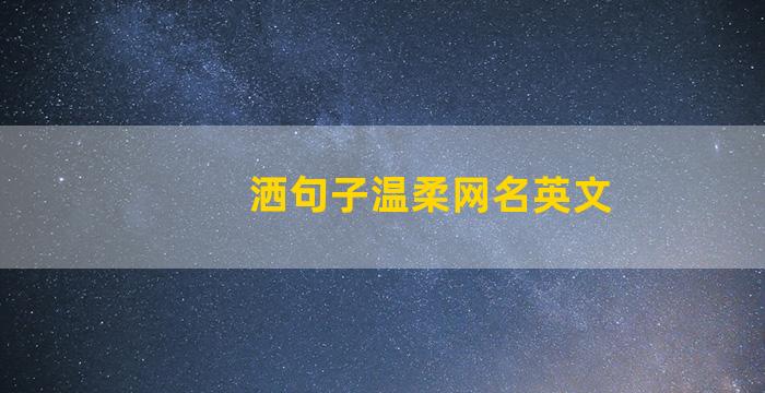 洒句子温柔网名英文