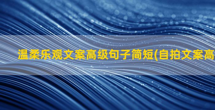 温柔乐观文案高级句子简短(自拍文案高级感温柔)