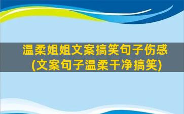 温柔姐姐文案搞笑句子伤感(文案句子温柔干净搞笑)