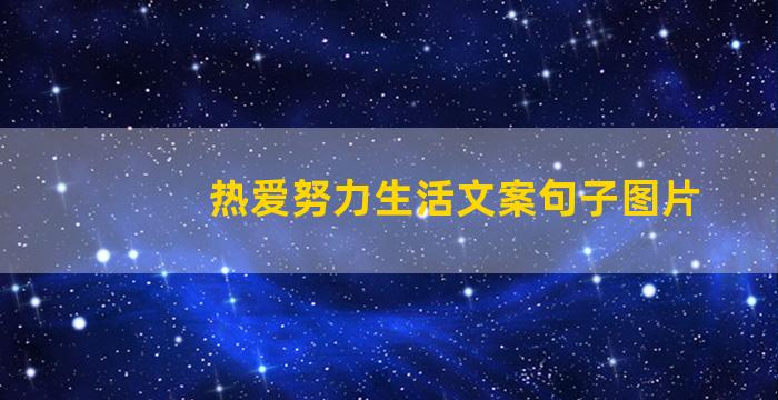 热爱努力生活文案句子图片