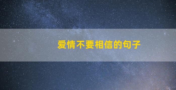 爱情不要相信的句子