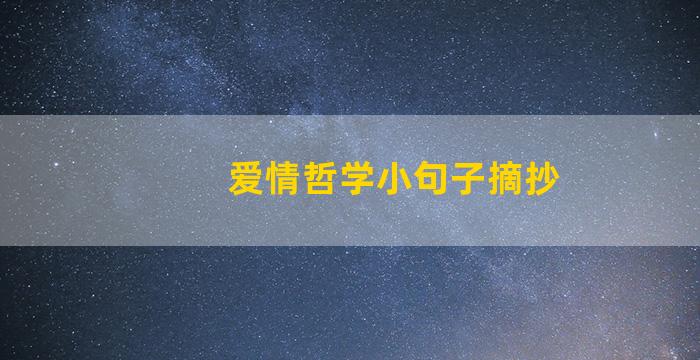 爱情哲学小句子摘抄