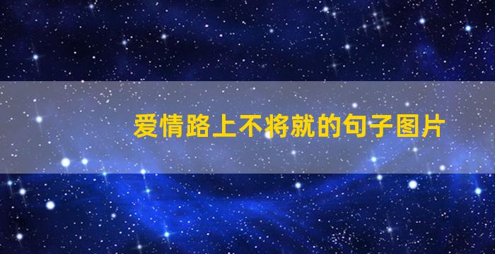 爱情路上不将就的句子图片