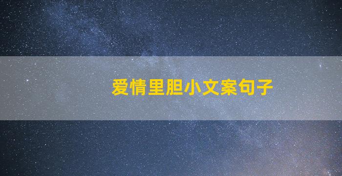 爱情里胆小文案句子