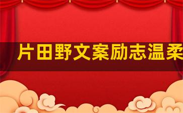 片田野文案励志温柔句子